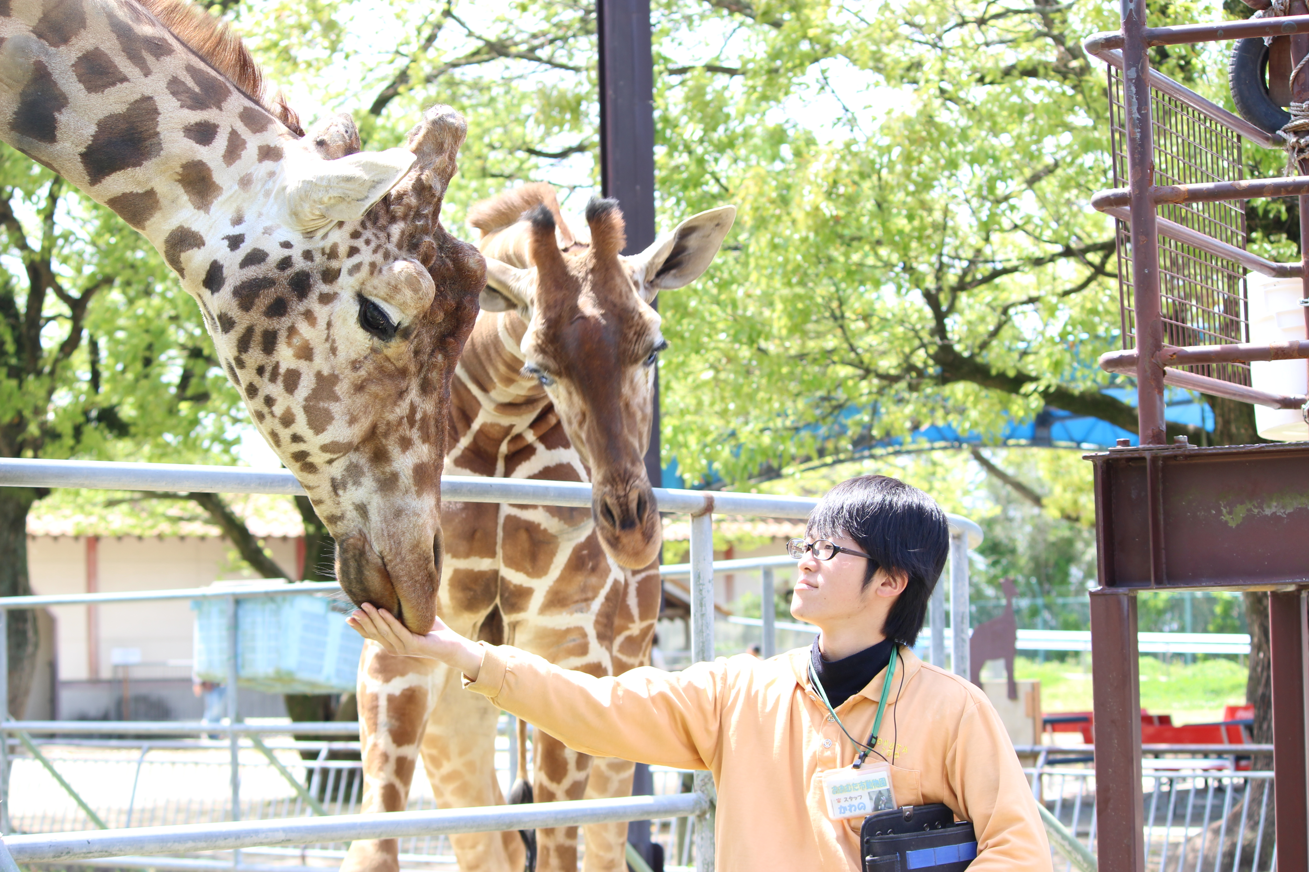 大牟田市動物園