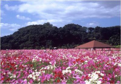 西郷川花園