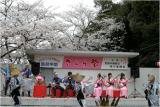 筑前中間さくら祭