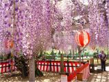 大中臣神社