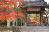 武蔵寺（ぶぞうじ）