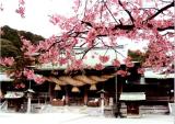 宮地嶽神社