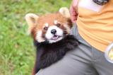 大牟田市動物園・ともだちや絵本美術館
