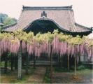 梅岳寺（県指定史跡）