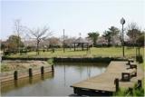 大木町の堀（クリークの里石丸山公園）