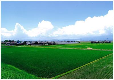 市南西部の田園風景