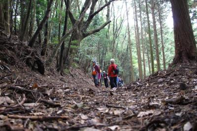 森林セラピー基地　豊前