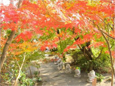 如意輪寺の紅葉