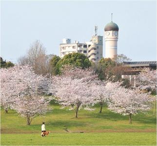 県営春日公園