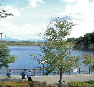 白水大池公園