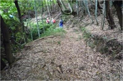 太宰府市民遺産第3号かつてあった道　四王寺山の太宰府町道