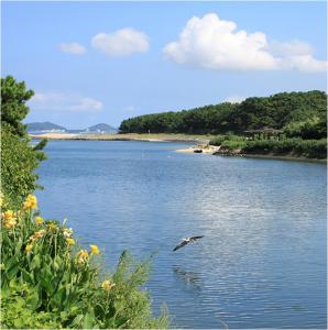 大根川河口