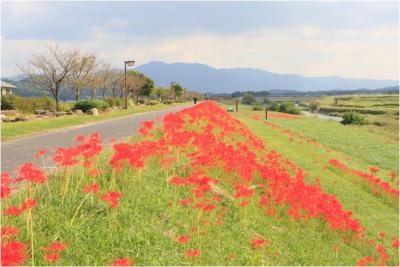 犬鳴川河川公園