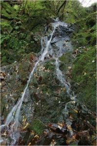 遠賀川源流