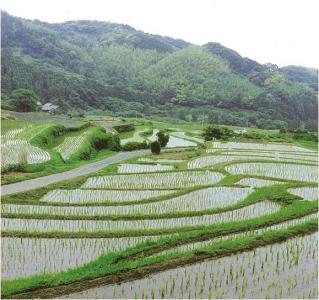 二丈佐波の棚田