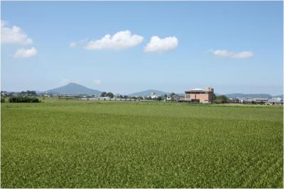 伊都国歴史博物館付近