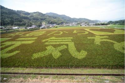 二丈赤米田んぼ花見会