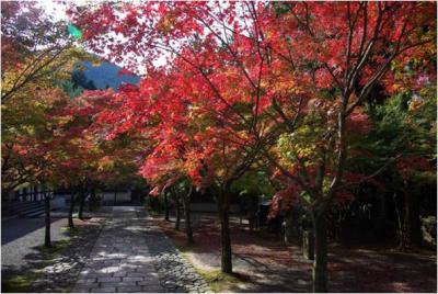 美しい紅葉　鉾立山天王院