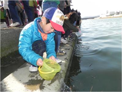 西川へサケの放流