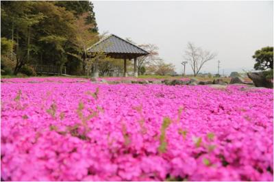 西田清流公園