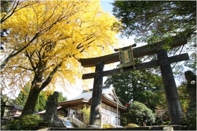 銅の鳥居