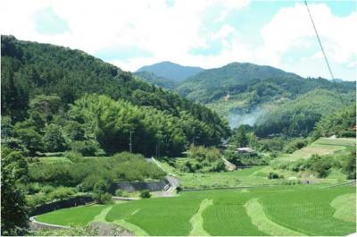 棚田風景