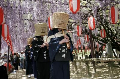 定禅寺の大藤（藤まつり）