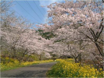 仲哀公園