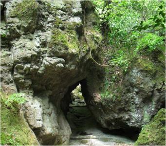 城井ノ上城址