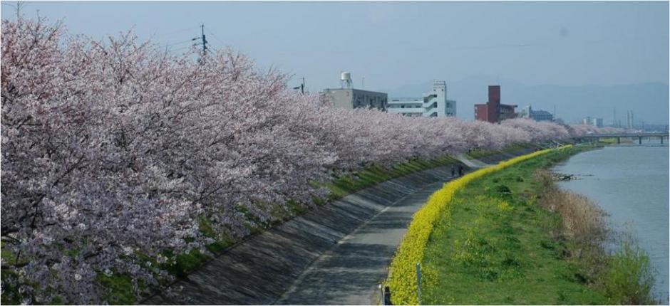 行橋市 4地域と60市町村紹介 福岡県ってどんなところ 福岡県 移住 定住ポータルサイト 福がお かくらし