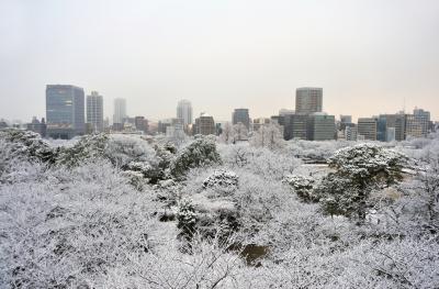 福岡の冬景色