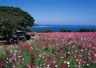 美しい自然を持つ癒しの島　能古島